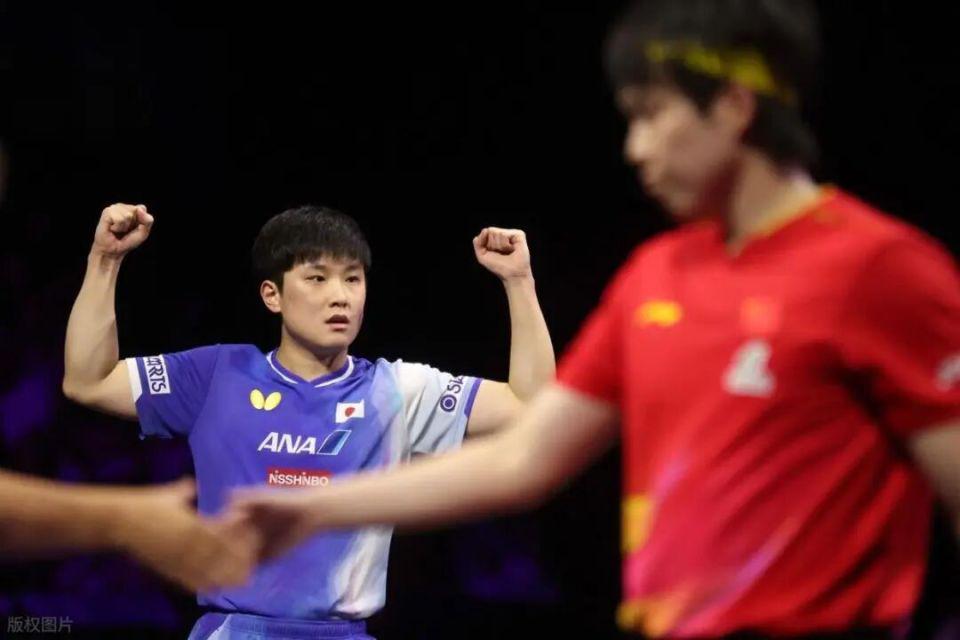 张本智和说, 问道, 洲和欧洲的 张本智和说, 问道, 洲和欧洲的