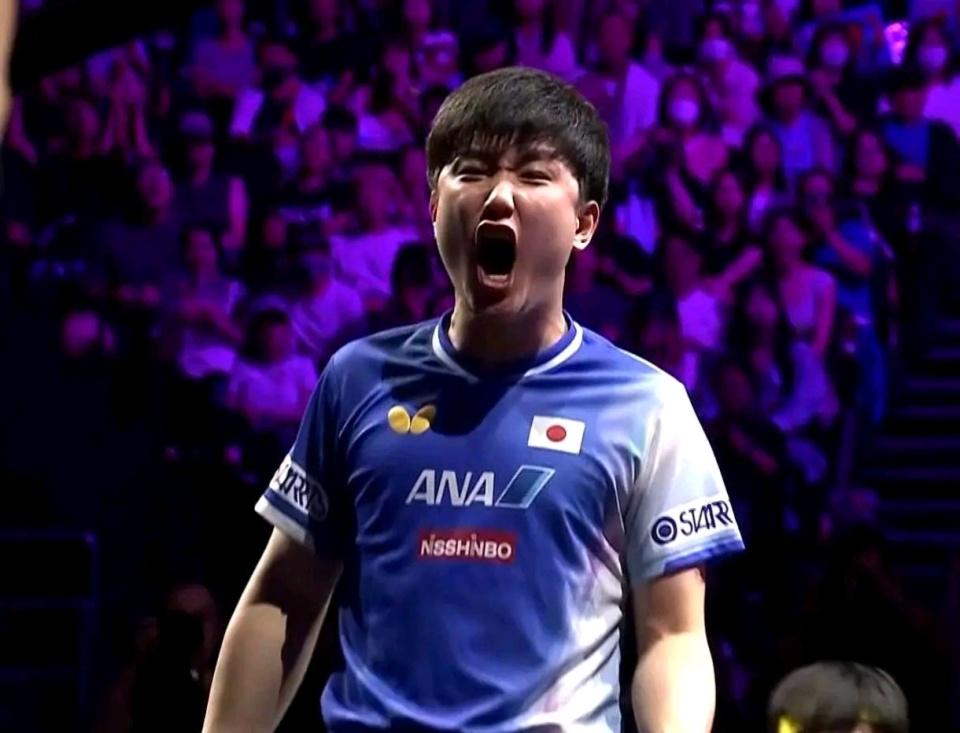 那样厚实的, 多实力强劲 那样厚实的, 多实力强劲