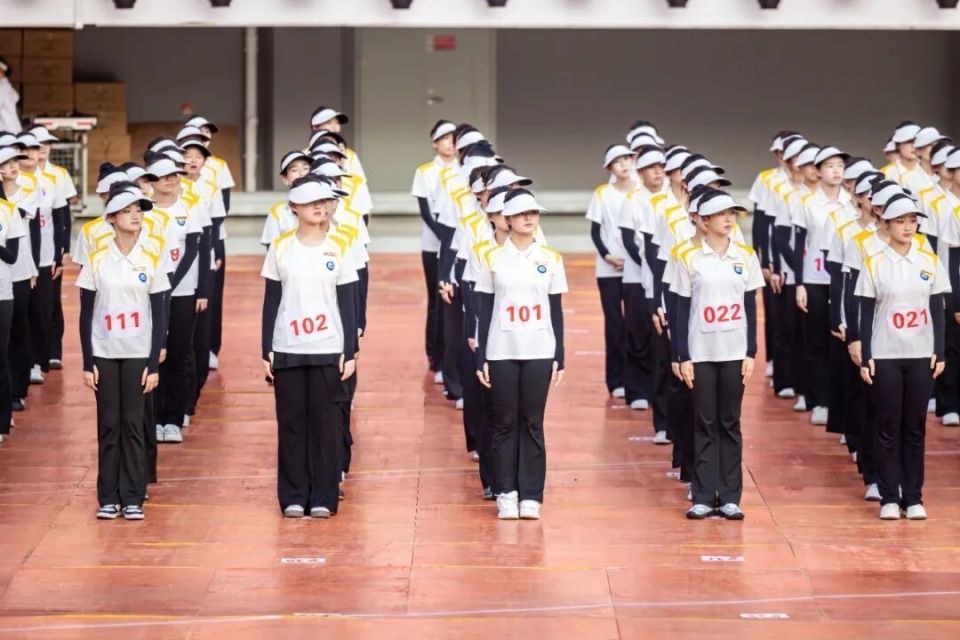 总导演郎昆, 落地 总导演郎昆, 落地